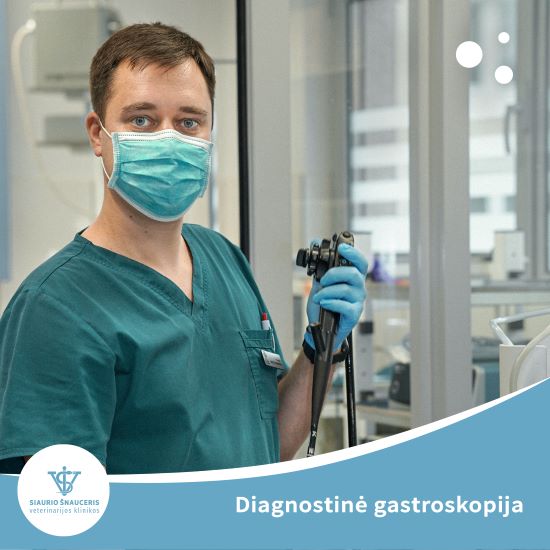 Diagnostinė gastroskopija
