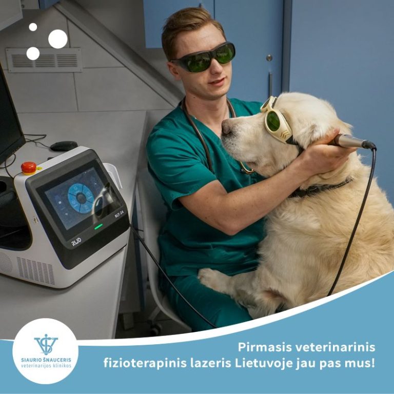 Pirmasis veterinarinis fizioterapinis lazeris Lietuvoje jau pas mus